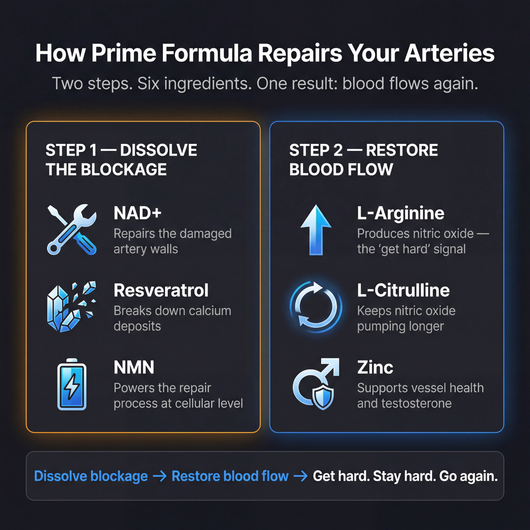 Get Hard. Stay Hard. Go Again.